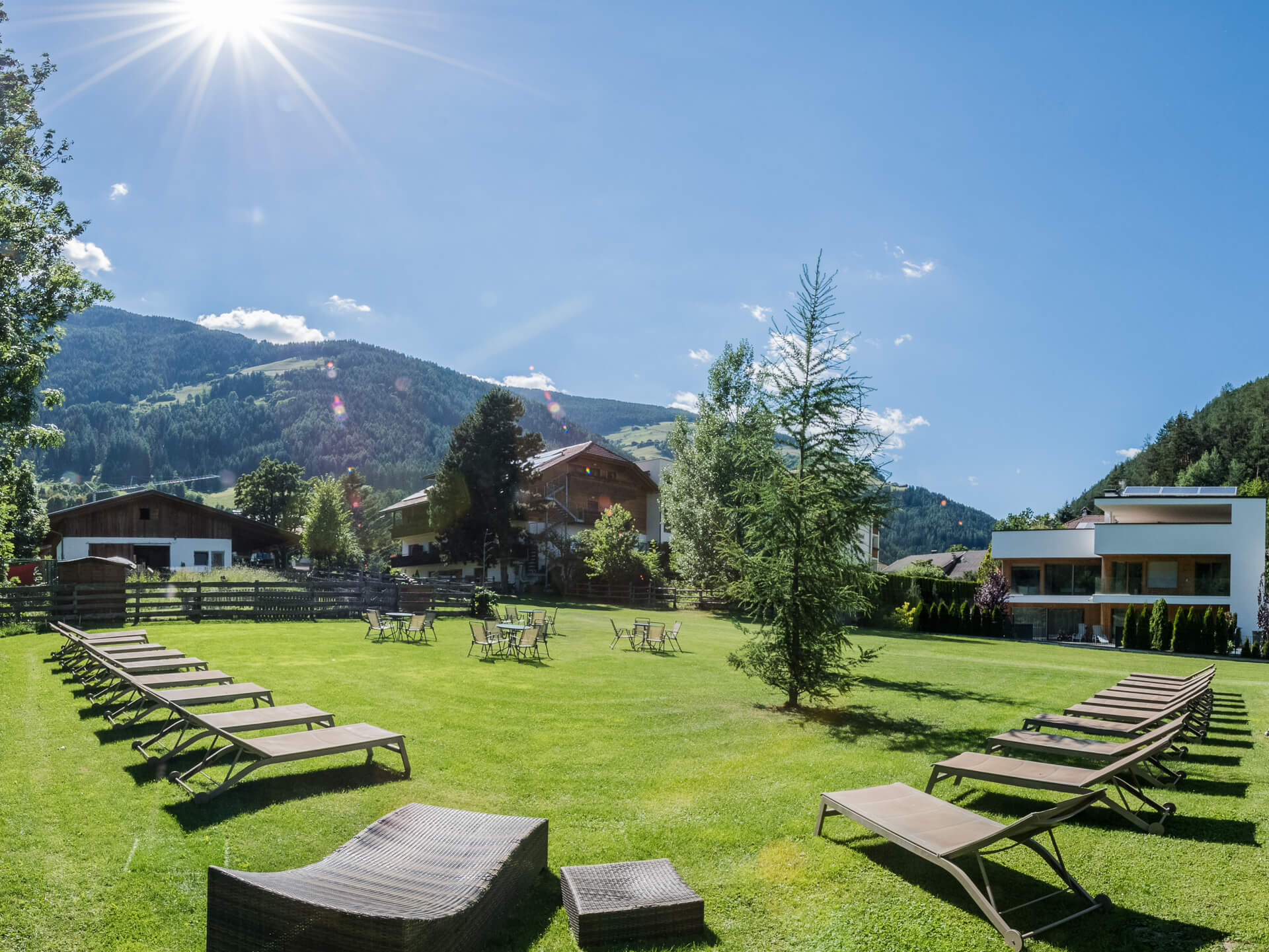 Liegewiese im Sommer