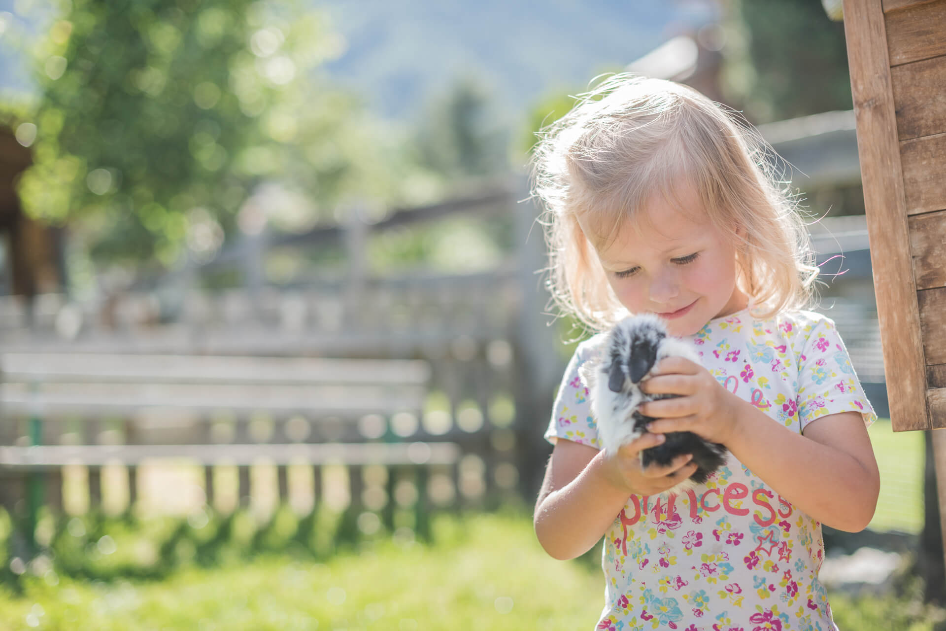 Familienabenteuer erleben